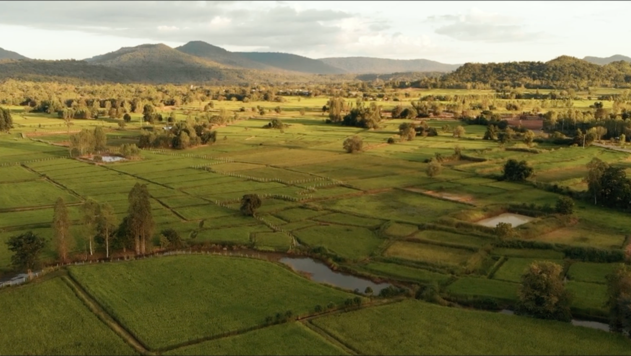 Baan Doi Farm